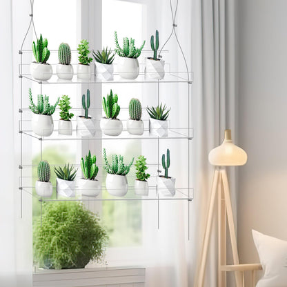 Ziliny 2 Pcs 28 Inch 3-tier Clear Hanging Window Plant Shelves Acrylic Height Adjustable Plant Stand Hanger Flower Pot Organizer Storage for Indoor Window Wall Garden Grow Herb Succulent