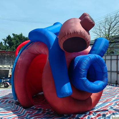 Outdoor Inflatable Human Heart Model Replica Tent, 13ftx10fx9ft Heart Inflatable Medical Exhibit with Blower, for Halloween, Educational Medical Exhibit