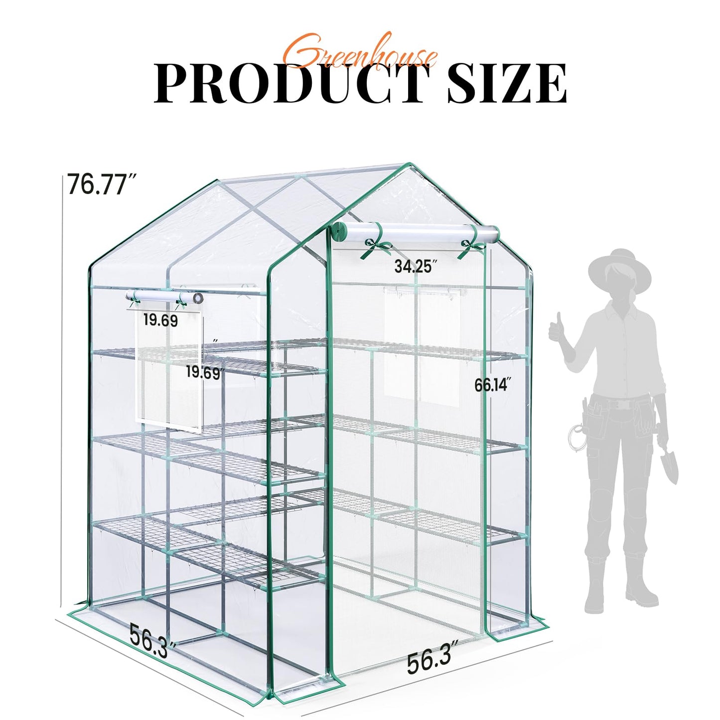 KING BIRD Premium Greenhouse for Outdoors, 56x56x77 in Walk-in Hot House with Thickened Cover, Reinforced Frame, Screen Windows & Mesh Door, 4 Tiers 12 Shelves for Outside Garden Seedlings, Clear