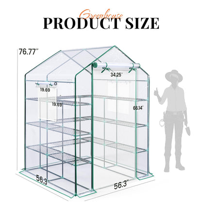 KING BIRD Premium Greenhouse for Outdoors, 56x56x77 in Walk-in Hot House with Thickened Cover, Reinforced Frame, Screen Windows & Mesh Door, 4 Tiers 12 Shelves for Outside Garden Seedlings, Clear