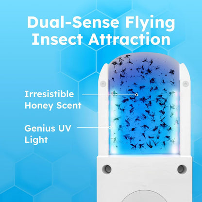 BugMD No Buzz Zone Fruit Fly Traps for Indoors with Honey Scent Bait & UV Light – Gnat Traps for House Indoor, Plug in Fly Trap Indoor, Bug Zapper Alternative, Mosquito Trap for Home (6-Pack)