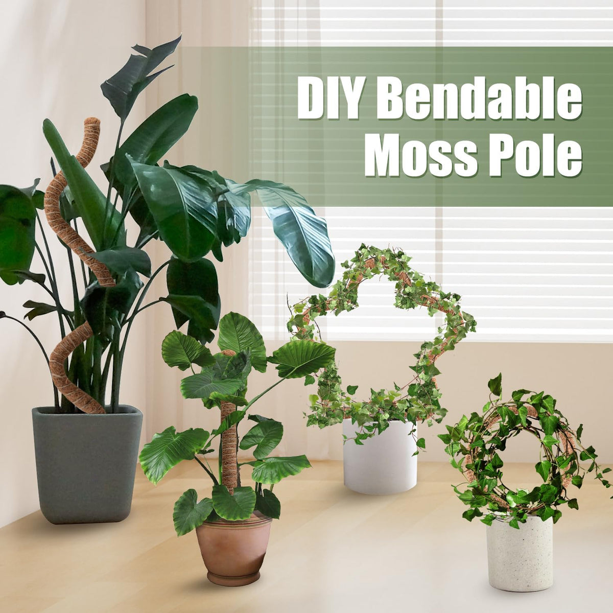 Skiennix 63-Inch Bendable Moss Pole - Handmade Coco Coir Support for Climbing Plants