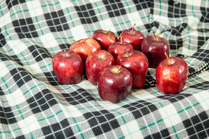 RED Delicious Apple Tree - Size: 5-6 ft, Live Plant, Includes Special Blend Fertilizer & Planting Guide