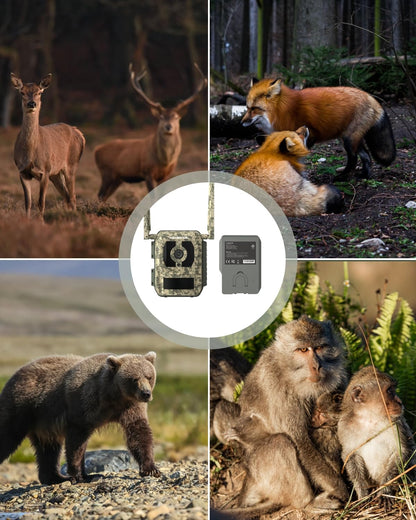 CAMOVUE True 4K 4G LTE Cellular Hunting Camera Outdoor with Battery Pack, 0.2s Trigger Speed, Game or Trail Camera with GPS, Non-Glow IR Night Vision, SIM Card, Motion Capture, Talon Pro+BP-10