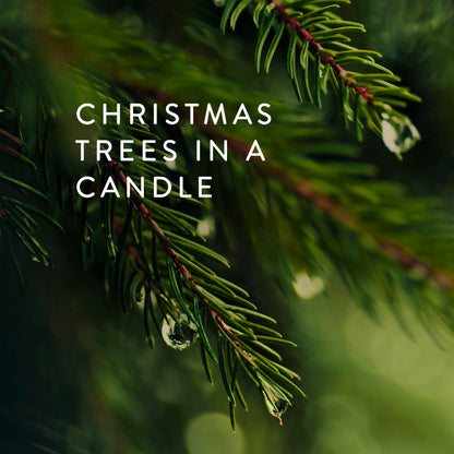 Thymes Frasier Fir Candles - Statement Collection - Silver with Pine Needle Design - Scented Candles for Home Decor - Notes of Siberian Fir Needles, Cedarwood & Sandalwood - Petite (5 oz)