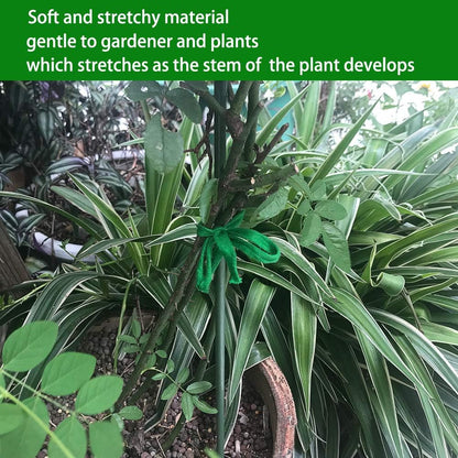 Skiennix Plant Ties - 164 Feet Biodegradable Green Garden Twine for Tomato Plants & Climbing Vines