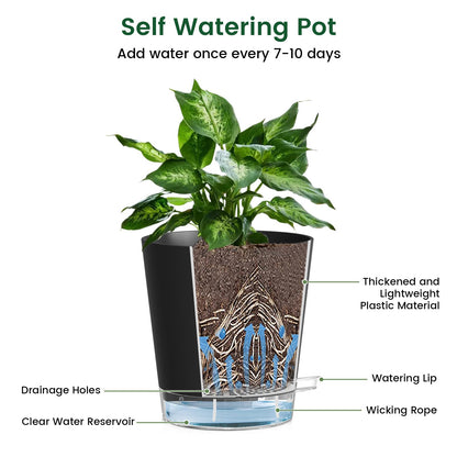 Meowell Self Watering Pots Set of 7 – Assorted Size 4" to 8" Indoor Plant Pots with Drainage Holes and Clear Reservoir for Visible Water Level, Plastic Wicking Planter for House Plants & Flower, Black