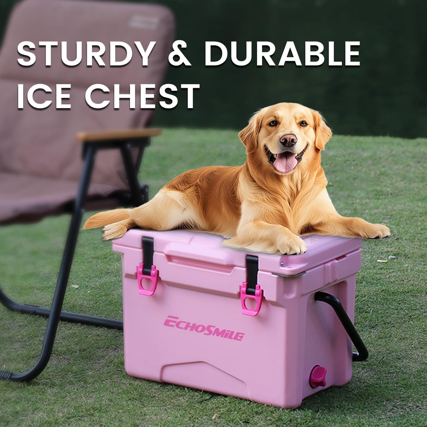 EchoSmile 12 Quart Rotomolded Cooler, Portable Hard Ice Chest, Suit for BBQ, Camping, Pincnic