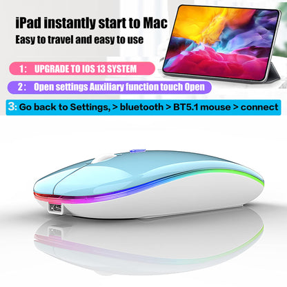 Bluetooth Wireless Mouse for Laptop mac MacBook ipad MacBook air MacBook pro pc Desktop Computer Windows Chromebook Notebook (Silver)