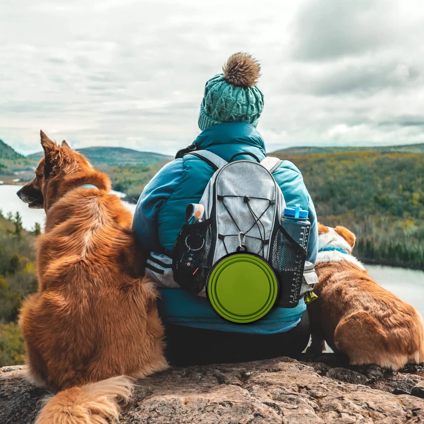 Collapsible Dog Bowls-2 Pack Large Size for Large/Medium Dogs, Pet Travel Water Bowl, Dogs Cat Portable Water Bowl, Dog Pet Feeding Watering Dish Outdoor Hiking Parking Traveling with 2 Carabiners