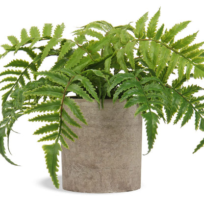 Hollyone Small Fake Plant Potted Plants Artificial Decor Silk Boston Ferns Plant Faux Plants in Pots for Home Living Room Bedroom Desk Bathroom Window Shelf Farmhouse Decoration