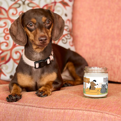 Becky Home 9oz Pet Odor Eliminator Deodorizer Candle, Long-Lasting Unscented, Non Toxic, Scentless Natural Plant-Based Wax Blend