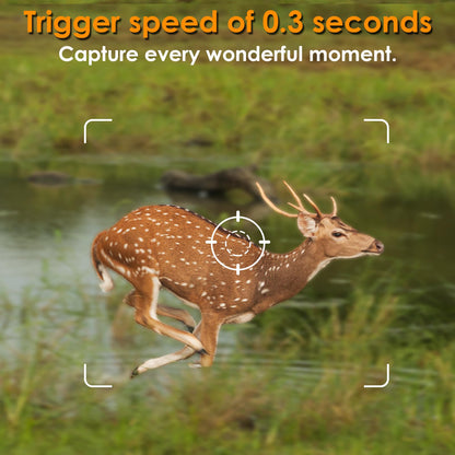 4-Pack Game & Trail Camera, 64MP 1296P H.264 MP4 Video Cam with 940nm No Glow Night Vision Motion Activated IP66 Waterproof for Outdoor Wildlife Monitoring, Yard Security, Animal Observation