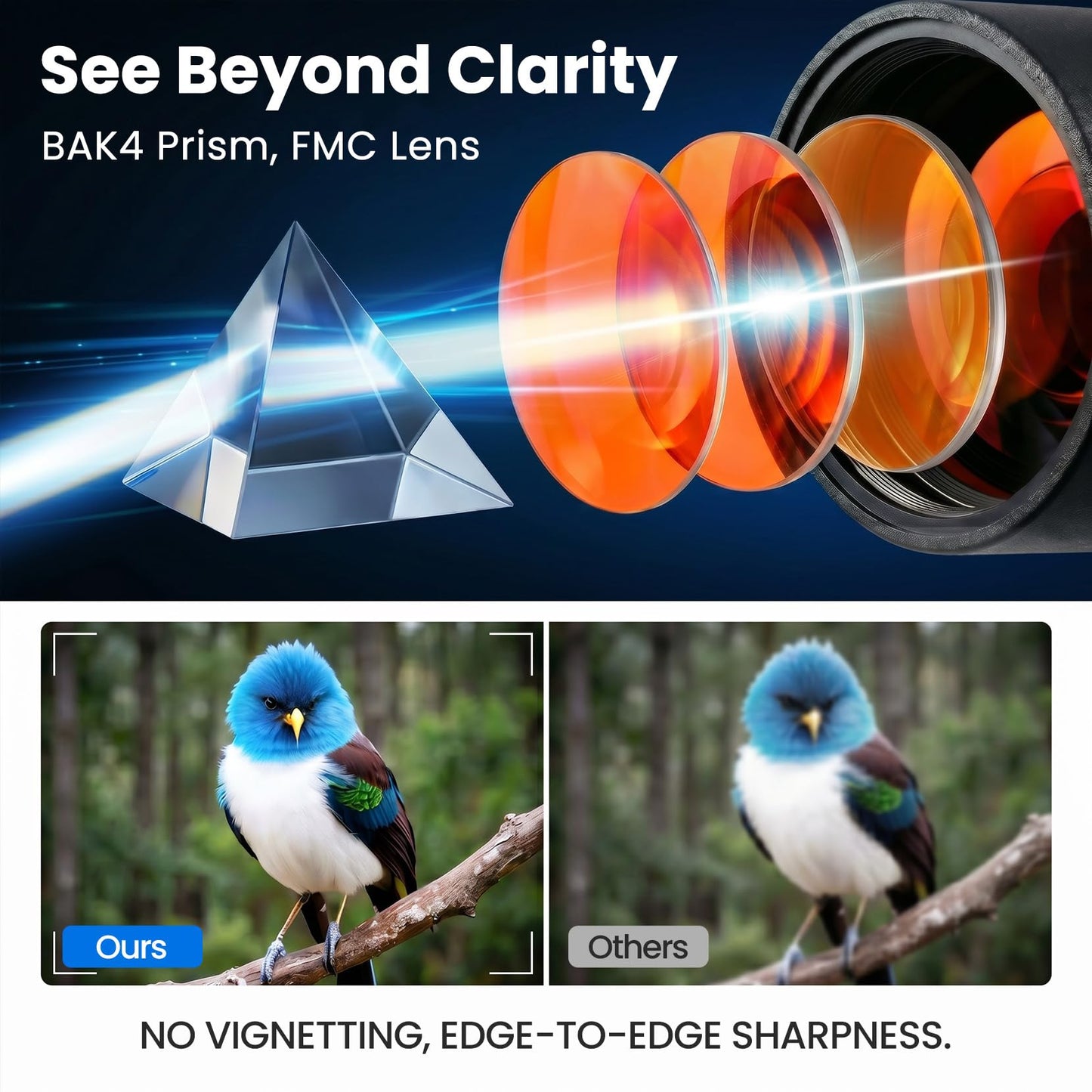 Three Triping Spotting Scope with Tripod & Phone Adapter – 25-75x85 Dual Focus Spotter Scope for Bird Watching, BAK4 Prism & FMC Lens, Waterproof & Fogproof with Carry Bag for Outdoor Observation