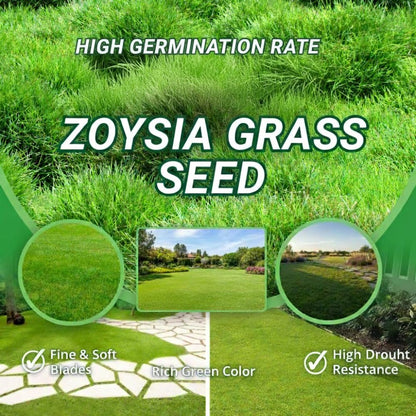 Zoysia Grass Seeds for Lawn, 20000 Seeds Count, Zoysia Seeds Lawngrass to Grow Backyard Home Garden