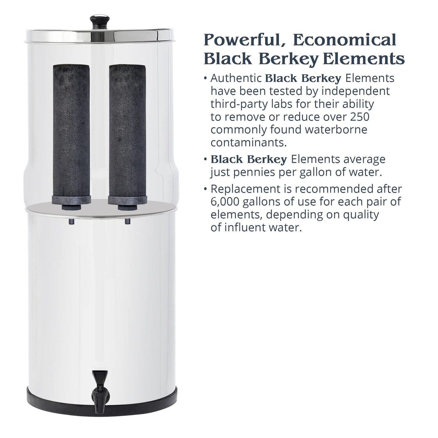 Big Berkey Gravity-Fed Water Filter System with 2 Black Berkey Elements Plus Deluxe 7" Stainless Steel Water View Spigot