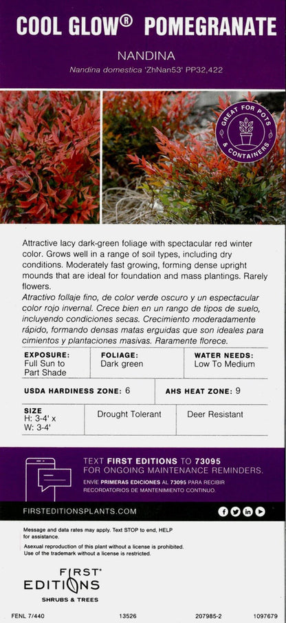 Cool Glow® Pomegranate Heavenly Bamboo, 3 Gallon