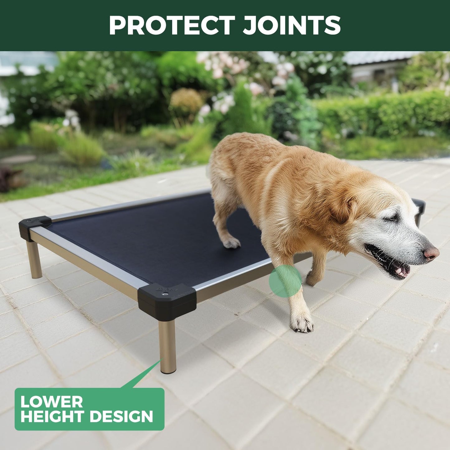 FXW TitanNest Chew-Proof Elevated Dog Bed, Raised Cot for Indoor/Outdoor/Camping Use, Durable & Waterproof Cooling Pet Bed for Extra Large Dogs, 56.0" L x 31.0" W x 7.3" H, Black
