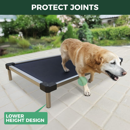FXW TitanNest Chew-Proof Elevated Dog Bed, Raised Cot for Indoor/Outdoor/Camping Use, Durable & Waterproof Cooling Pet Bed for Extra Large Dogs, 56.0" L x 31.0" W x 7.3" H, Black