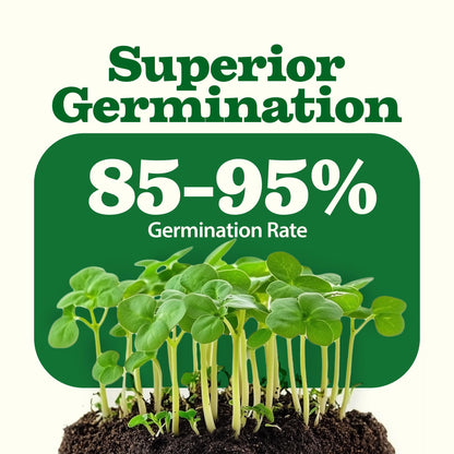 32 Heirloom Vegetable and Fruit Seeds for Planting - 16,000+ Seeds | Non-GMO Survival Seed Vault | High Germination | 32 Varieties of Vegetable Seeds for Your Home Survival Garden
