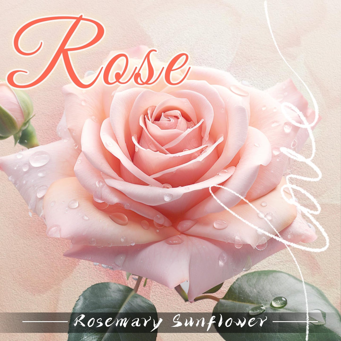 DARJEN Rose Scented Candles for Home- 10oz 68H Natural Soy Wax Aromatherapy Jar Candle, Decorative Aesthetic Candles for Master Bedroom, Date Nights, Self-Care Sunday, Luxury Gift for Women