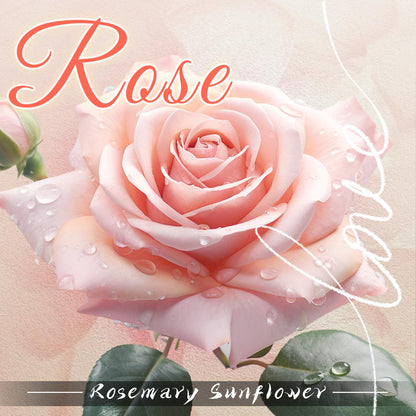 DARJEN Rose Scented Candles for Home- 10oz 68H Natural Soy Wax Aromatherapy Jar Candle, Decorative Aesthetic Candles for Master Bedroom, Date Nights, Self-Care Sunday, Luxury Gift for Women