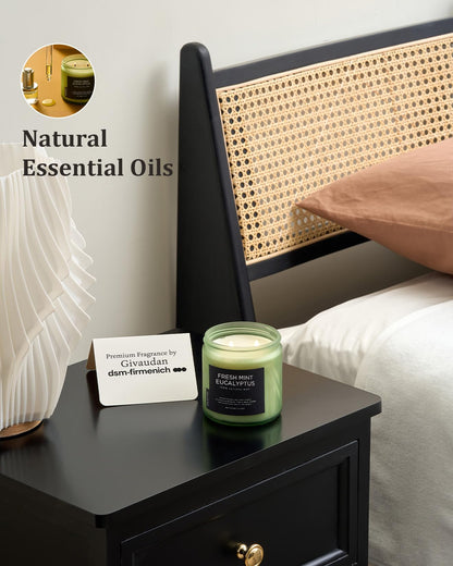 M&SENSE Eucalyptus & Mint Home Scented Candles, 11.6oz Organic Non Toxic Soy Candle, 70-Hour Long Burning, Aromatherapy Gifts for Stress Relief Relaxation Meditation, Natural Smelling for Men Women