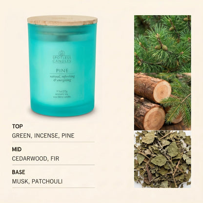 Pine Candle 9.7 oz: 55 Hrs Burn Time - Pine Scented Candles in Frosted Glass Jar with Wooden Crackling Wick in a Luxurious Gold Foil Lined Gift Box