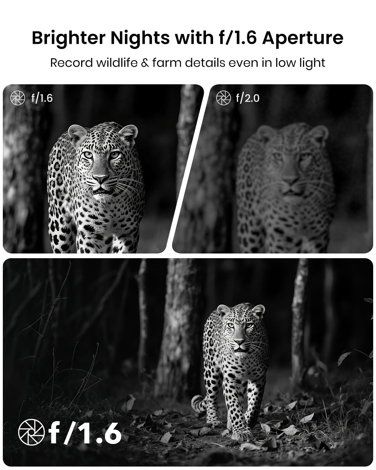Misstech 4K UHD Solar Trail Camera for Game & Wildlife Monitoring - 0.1s Fast Activation to Record Animals, 64MP/4K Clear Night Vision, No Monthly Fee, App Control, IP66 Waterproof, 32GB SD Card