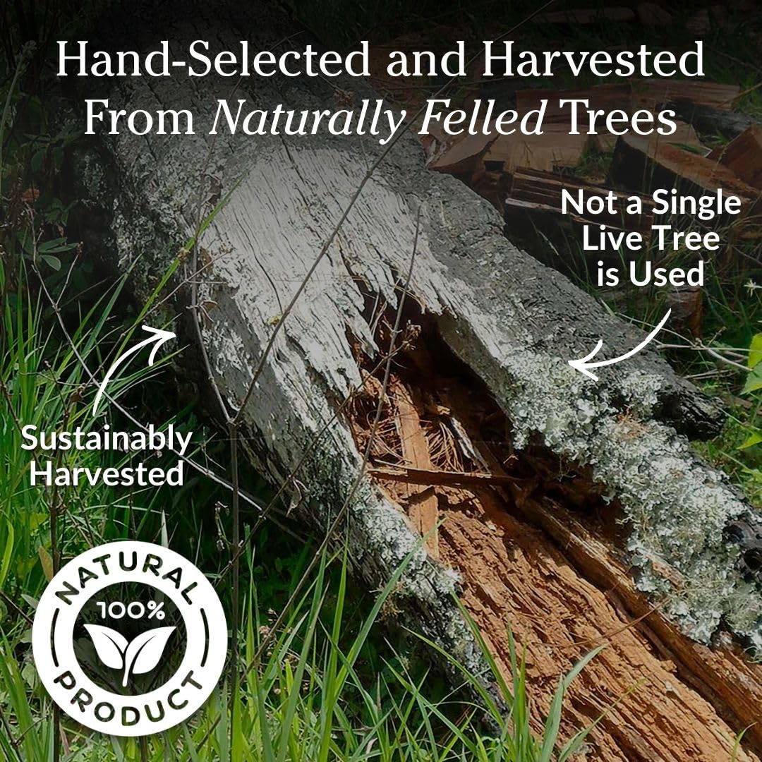 Plow & Hearth 40 LB Fatwood Fire Starter, Organic Kindling Sticks, Non Toxic All Natural Firestarters for Wood Stoves Fireplaces Campfires Fire Pits, Easy Ignition Fat Wood