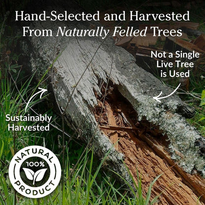 Plow & Hearth 40 LB Fatwood Fire Starter, Organic Kindling Sticks, Non Toxic All Natural Firestarters for Wood Stoves Fireplaces Campfires Fire Pits, Easy Ignition Fat Wood