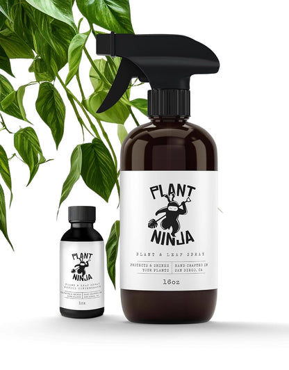 Plant & Leaf Spray - Non-Toxic Leaf Shine & Protector | Eco-Friendly Formula for Indoor Plants | Handcrafted, Women-Owned
