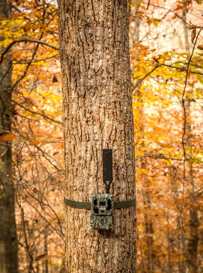 Browning Defender Wireless Pro Scout Max HD AI Trail Game Camera Bundle Includes 32GB Memory Card and J-TECH Card Reader (46MP) | BTCPSMHDAI