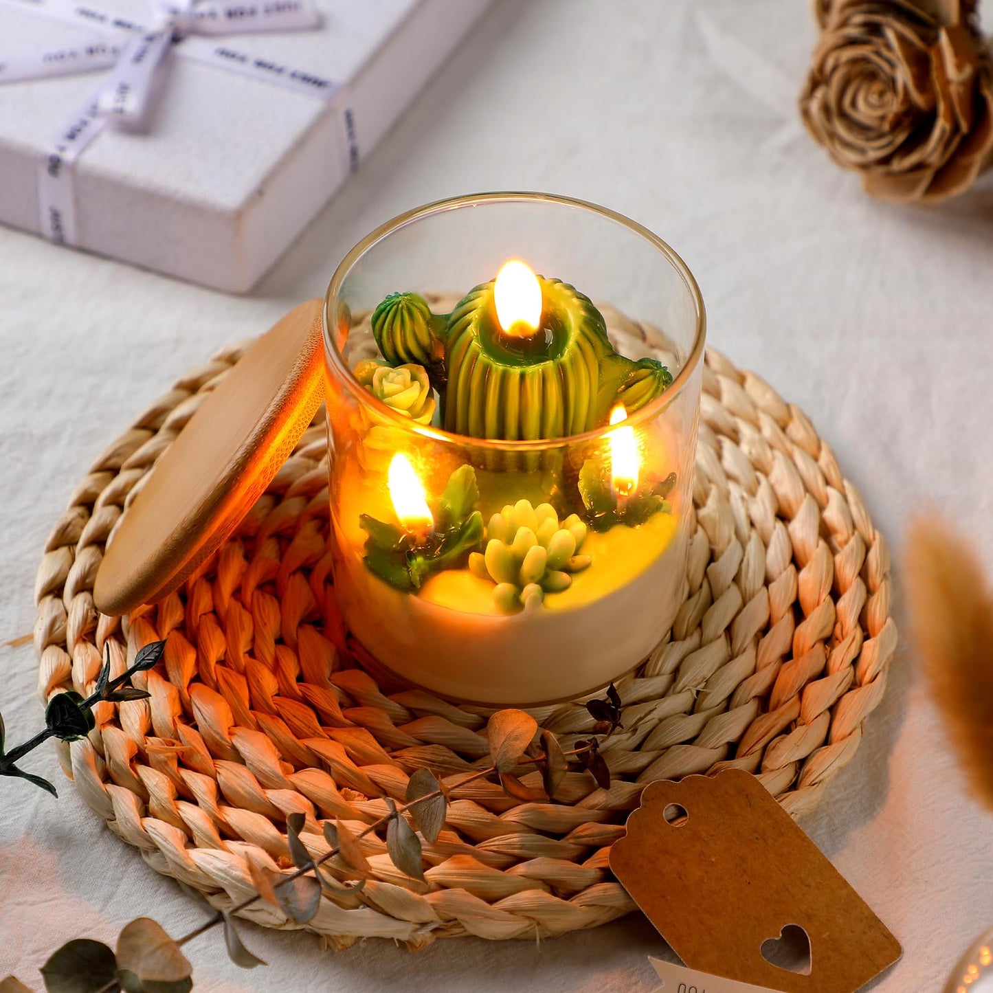 Tondiamo Succulent Cactus Candles Gift,3.15 Inch Scented Decorative Terrarium Plant Candles Votive for House Warming Wedding Baby Shower Spa Home Decoration Teacher Appreciation Mothers Gifts