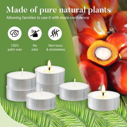 Unscented Tea Lights Candles 240 Pack, 4 Hours Long Burning,White Tea Candles Bulk, Bright Burn with Palm Wax,Smokeless Tealight Candles for Wedding,Centerpiece,Christmas Lights,Home Decorative