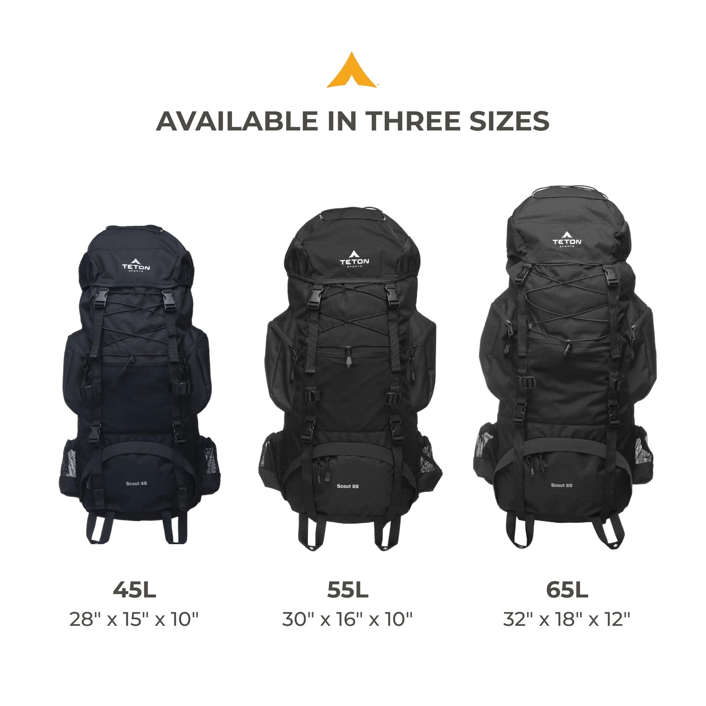 Teton 65L Scout Internal Frame Backpack for Hiking, Camping, Backpacking, Travel, Rain Cover Included, Pacific