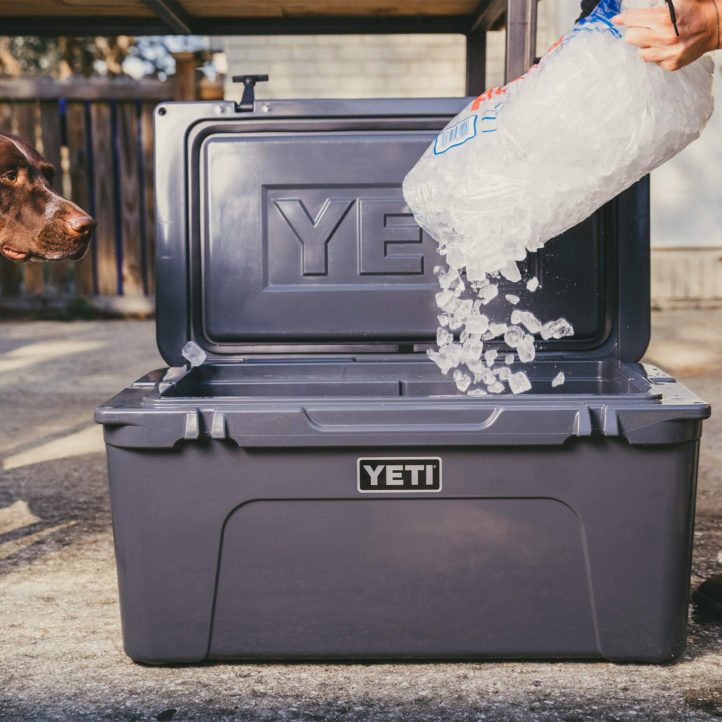 Yeti Tundra 65 Charcoal