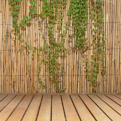 Forever Bamboo Jumbo Reed Natural Bamboo Screen Fencing Privacy Fence Backyard Divider Decorative Reed Garden Fencing 72 in H x 192 in L