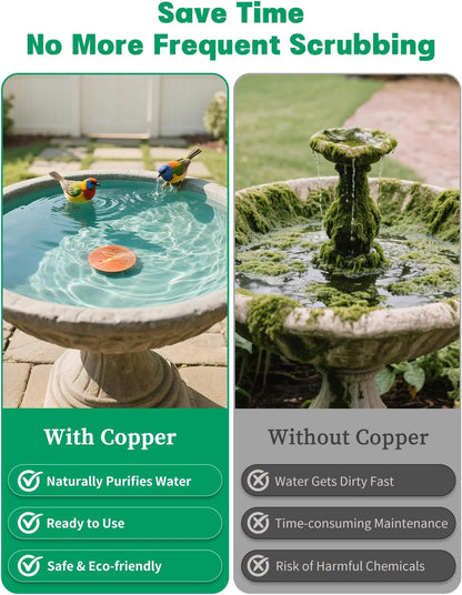 Skiennix 2-Pack Copper Bird Bath Cleaning Disks - 99.9% Pure Copper, 0.6mm Thick, Triple-Point Support