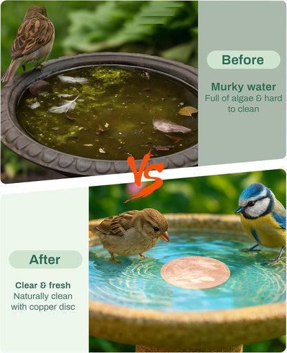 Skiennix Bird Bath Purification Disk - Pure Copper Solar Power Fountain for Hummingbirds & Bees