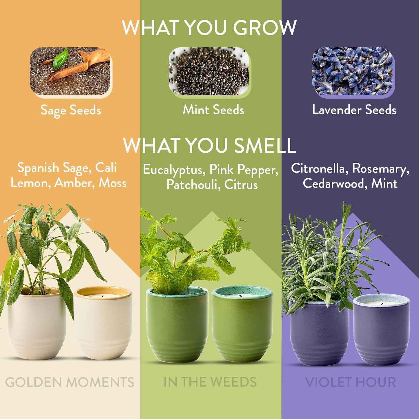Modern Sprout - 2-in-1 Soy Candle & Planter - 3-Pack Indoor Set (Violet Hour, in The Weeds, Golden Moments) 6 Oz Scented Candles with Lavender, Sage & Mint Seeds – 38–40 Hr Burn Each