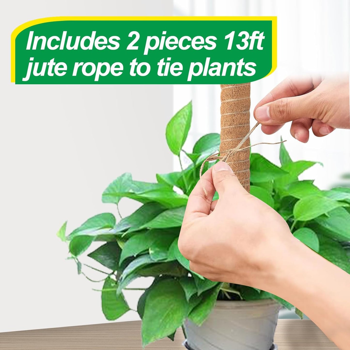 Skiennix 6 Pack Moss Poles for Monstera Plant Support - Stackable Design (4x17in + 2x12in) for Indoor Plants