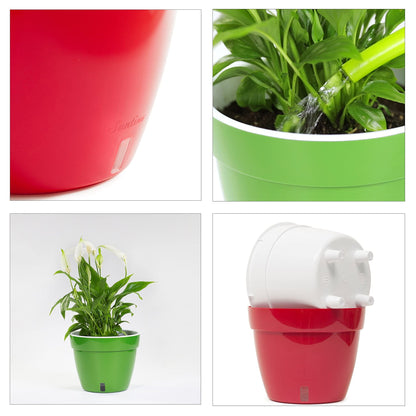 Santino ASTI 9.2 Inch Self Watering Planter Menthol/White for Indoor Plants - Premium Quality Modern Plastic Pot w/Water Level Indicator for All House Herbs, Plants, African Violets and Dahlias
