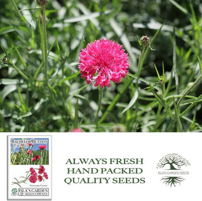 Isla's Garden Seeds Tall Red Bachelor Button Seeds - Non-GMO Heirloom Cornflower for Easy Summer Blooms | Classic Cut Flowers for Beds & Borders
