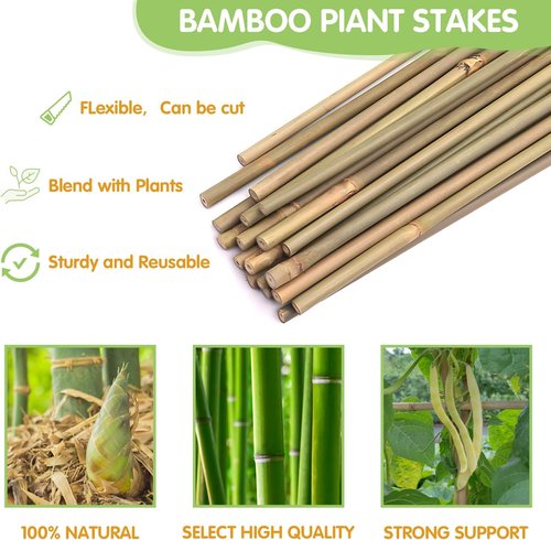 GAGINANG Bamboo Garden Stakes - 4.8FT Sturdy Natural Support for Tomatoes, Vegetables & Climbing Plants - 20 Pcs