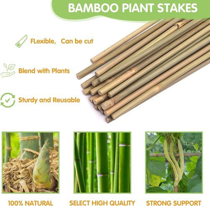 GAGINANG Bamboo Garden Stakes - 4.8FT Sturdy Natural Support for Tomatoes, Vegetables & Climbing Plants - 20 Pcs