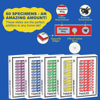 Jiusion 60Pcs Prepared Microscope Slides Specimen Animals Insects Plants Flowers Sample Biological Specimen, Stereo Microscope Slide for Kids Children Students Enlighten Education