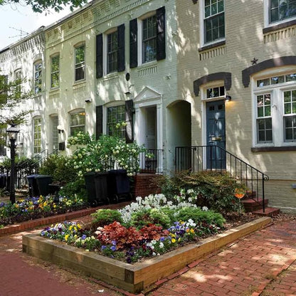 Georgetown DC Outdoor Escape Room | Real City Scavenger Hunt | Gifts for Adults &amp Families | 1-6 Players 2-3 Hours 1 Mile Walking Distance