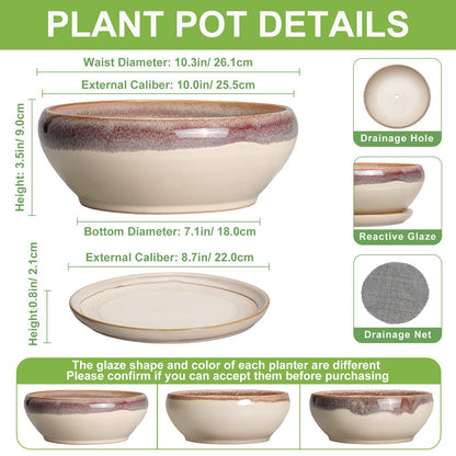 SQOWL Bonsai Tree Pots - 10 Inch Ceramic Succulent Pots, Round Shallow Planter with Drainage Hole and Tray, Bowl Planter for Indoor Outdoor Plants Flowers, Room Decor, Garden Gifts, Beige