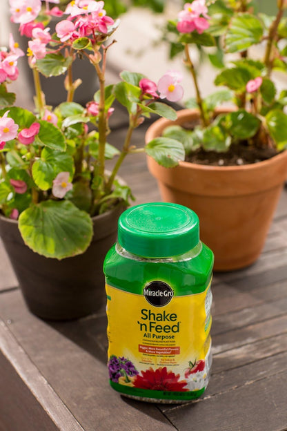 Miracle-Gro Shake 'n Feed Plant Food - All Purpose Continuous Release Fertilizer, 1 lb